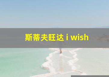 斯蒂夫旺达 i wish